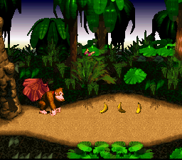 Donkey Kong Country