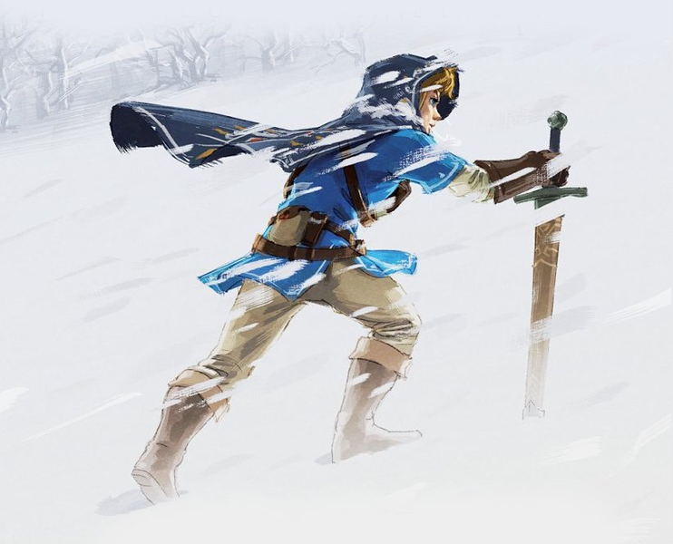 Zelda Breath of The Wild Snowstorm Art