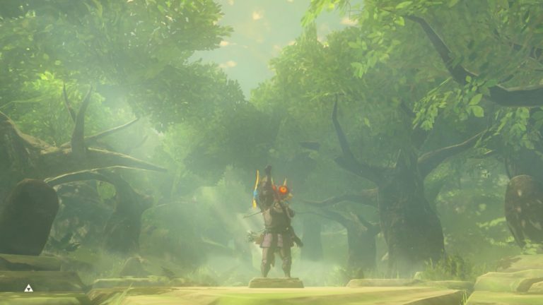 Another New Bug Overloads Hyrule in the Legend of Zelda