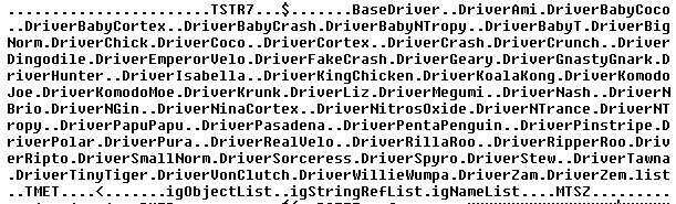 Crash Team Racing Datamined Names