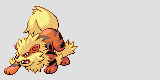 Male Arcanine