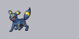 Female Umbreon