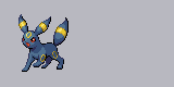 Male Umbreon