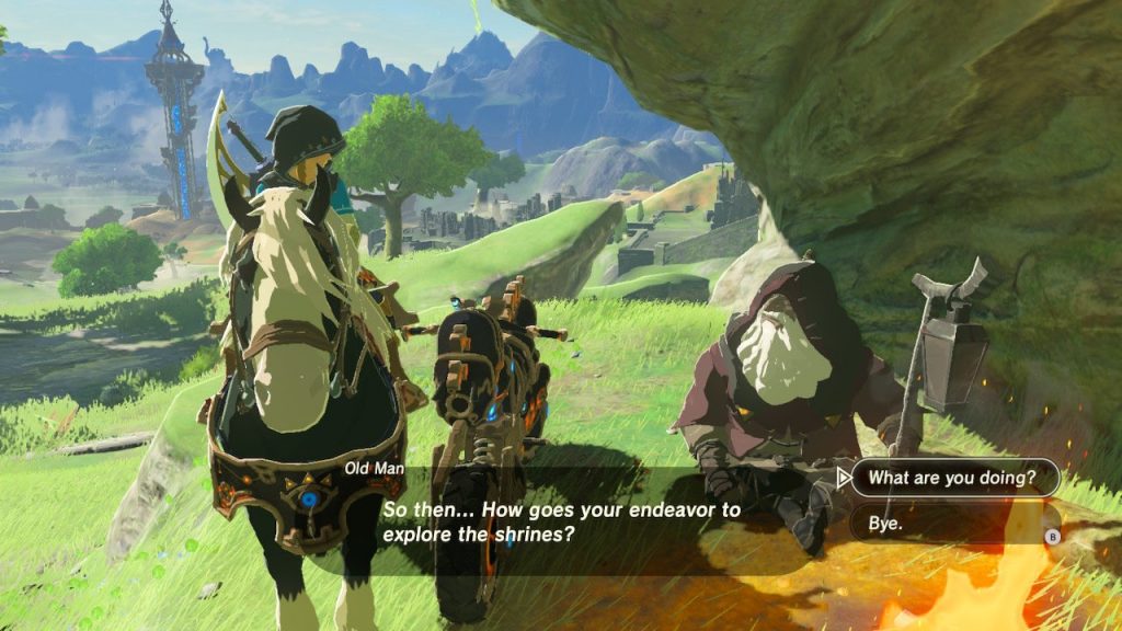 Uma captura de tela incomum do BoTW