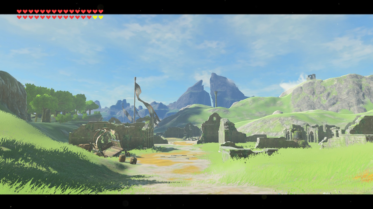 First Person View BoTW