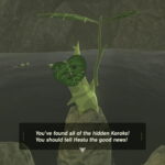 Collecting the Last Korok Seed