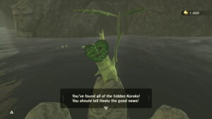 Collecting the Last Korok Seed