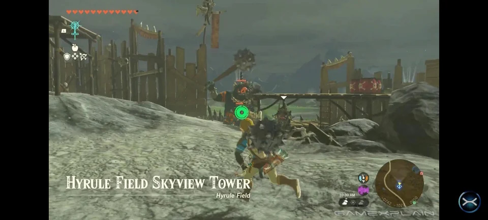 Hyrule Field Skyview Tower