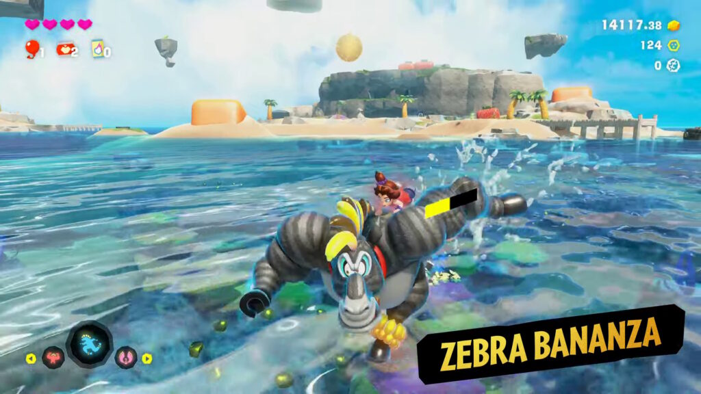 Zebra DK Run On Water