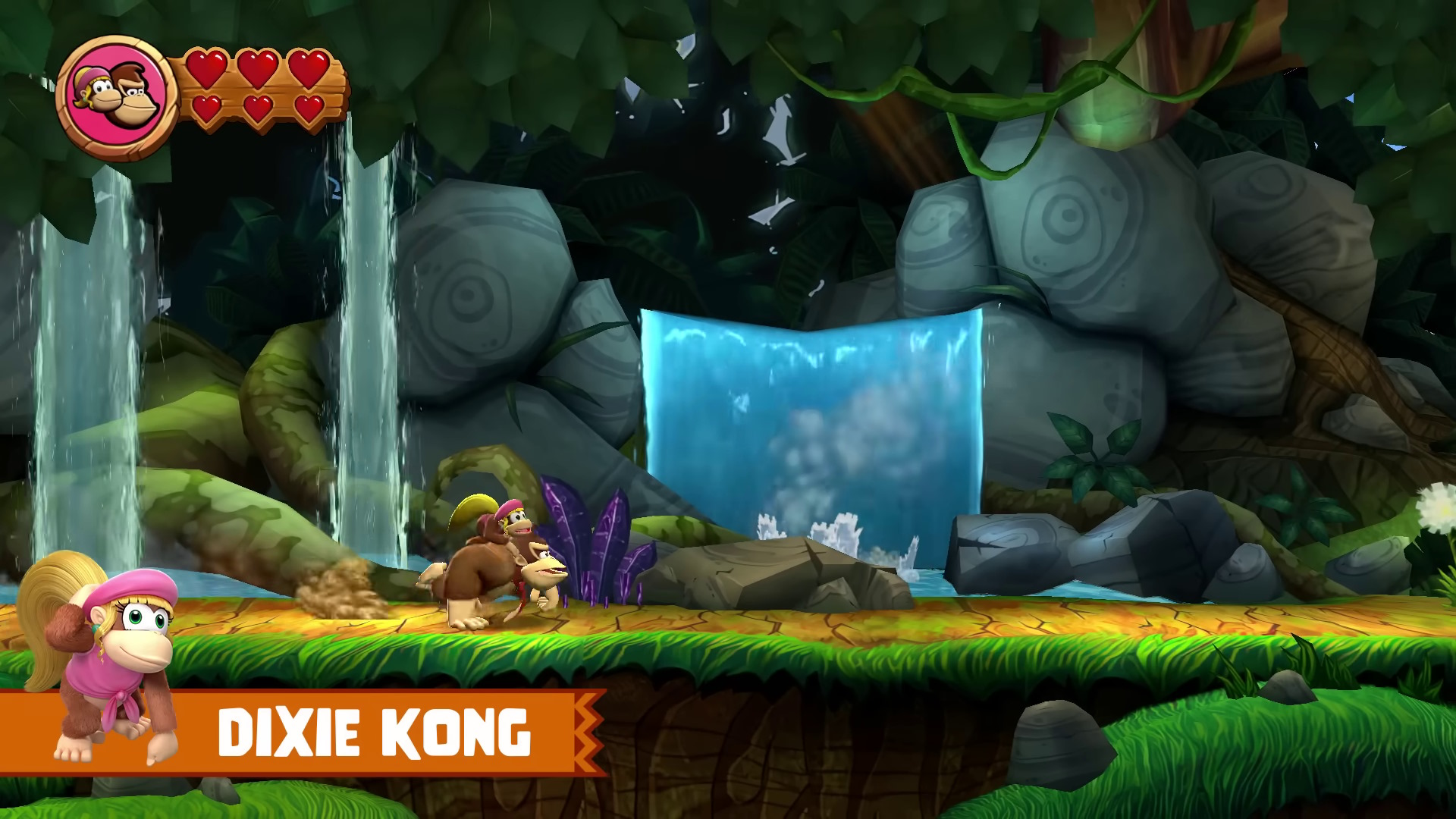 Dixie Kong In DKC Returns HD