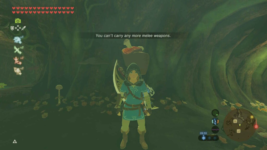 Meat Stuck In Deku Tree