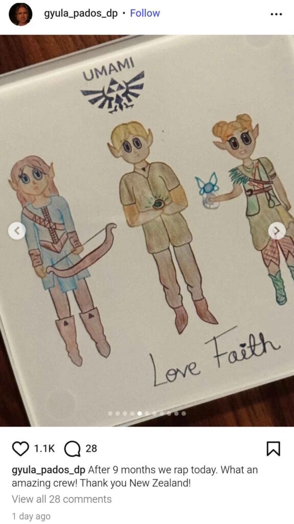 Zelda Wrap Party Artwork