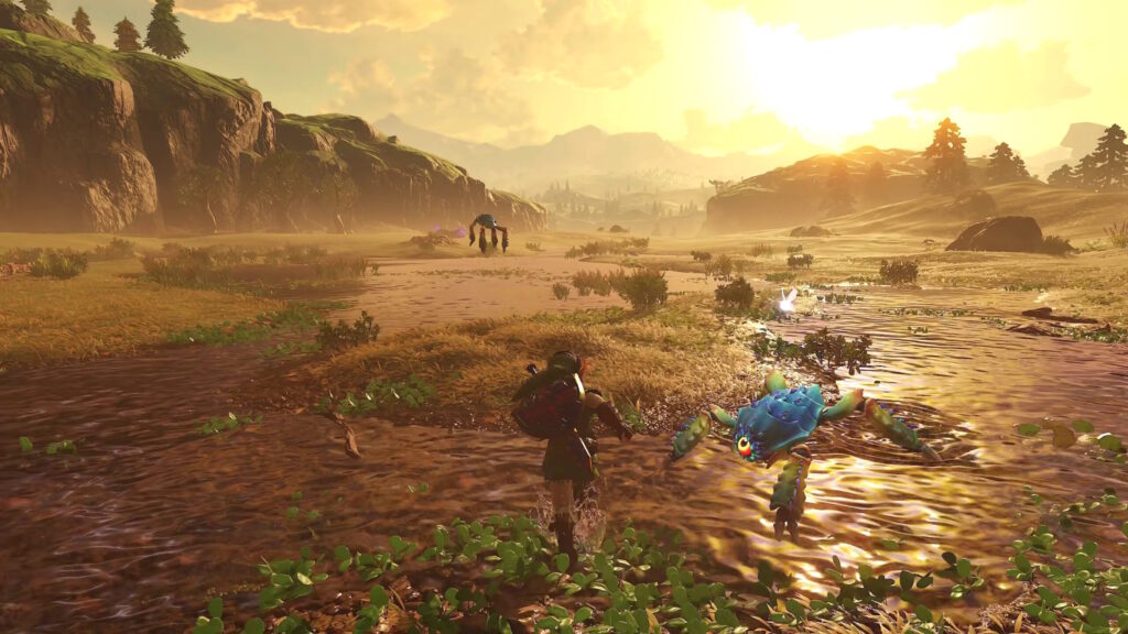 Hyrule Field Marsh