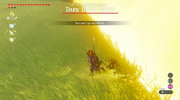 Link Outside Final Boss Barrier in Breath of the Wild