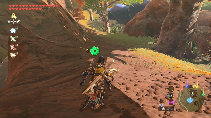 Link stuck out of bounds in Breath of the Wild